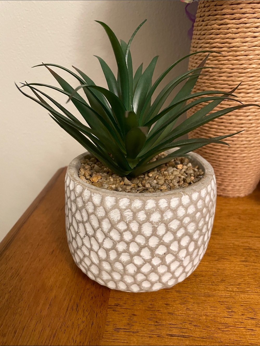 Artificial Faux Green Succulent Plant in Cement Pot Planter Excellent Condition